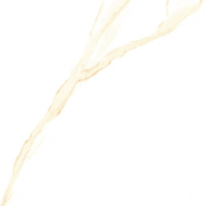 TF Arona Satuario Beige