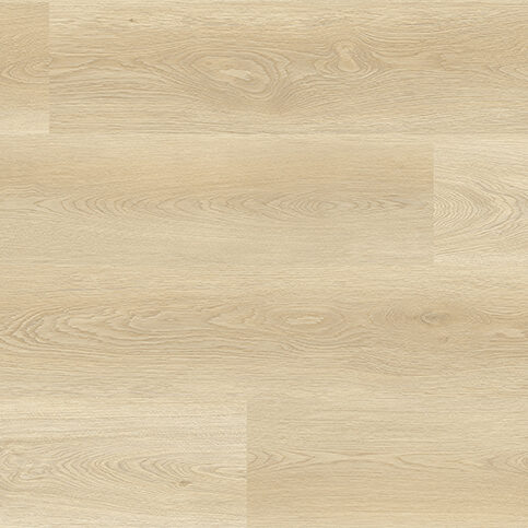 Vinyl Floor 20
