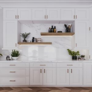 Shaker White (Alinecabinetry)